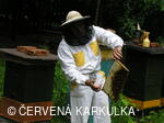 Medobraní u Perníkové chaloupky 2006