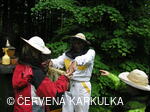 Medobraní u Perníkové chaloupky 2006