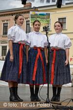 Mezinárodní folklorní festival Frýdek-Místek