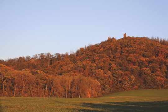 Lichnice z dálky